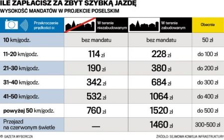 Инфографика Gazeta Wyborcza